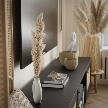 TV-Schrank VIENNA 3D mit Wiener Geflecht