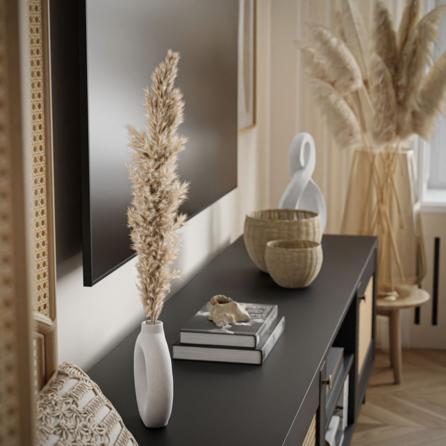 TV-Schrank VIENNA 3D mit Wiener Geflecht