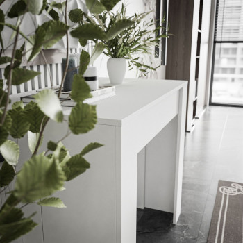 Konsolentisch 237 PLUS weiß matt