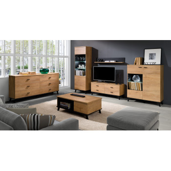 RTV Schrank JOEL 121 cm Eiche lefkas