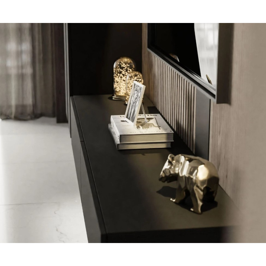 COLETTE III Wohnwand mattschwarz