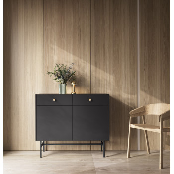 DIVIENNE 2D2SZ zweitürige Kommode DIVIENNE 2D2SZ zweitürige Kommode