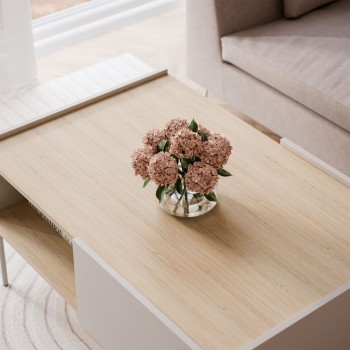 ESSENCE Wohnzimmer Möbel Set