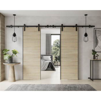 Schiebetür ALDER DUO