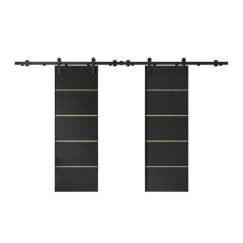 Schiebetür ALDER PLUS DUO