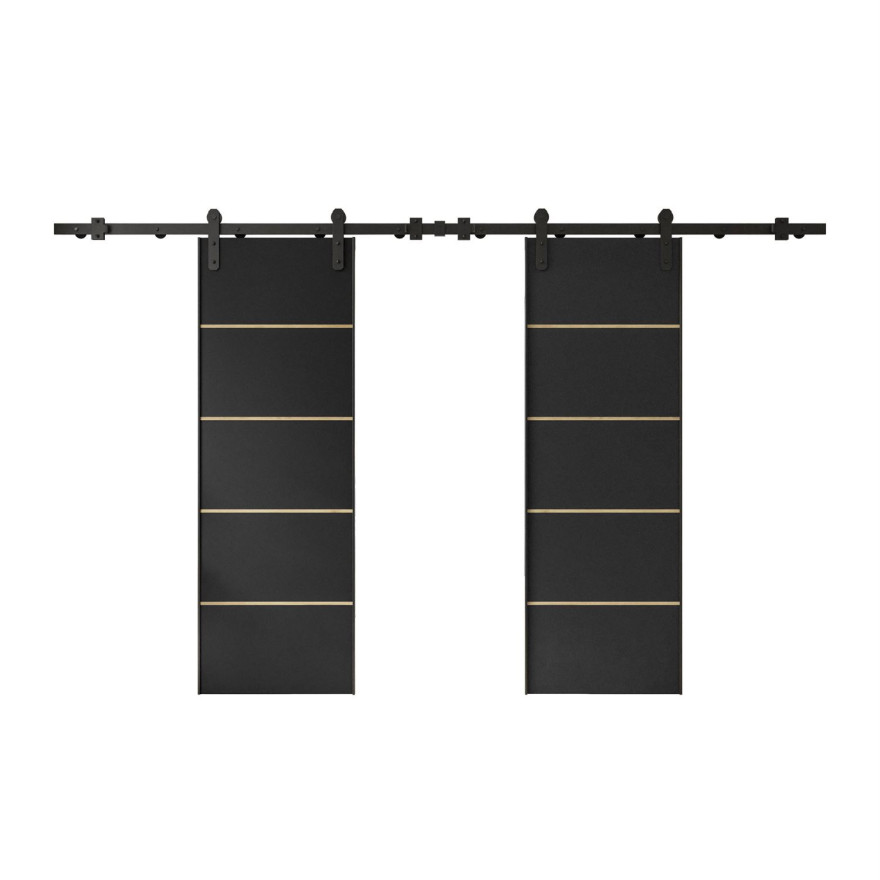 Schiebetür ALDER PLUS DUO