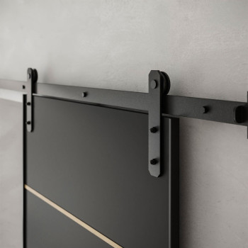 Schiebetür ALDER PLUS DUO