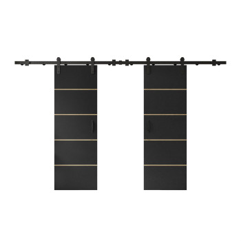 Schiebetür LOGAN PLUS DUO mit Griff