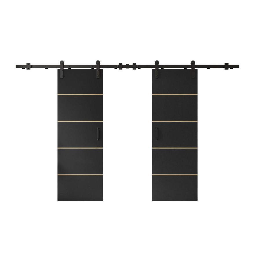 Schiebetür LOGAN PLUS DUO mit Griff