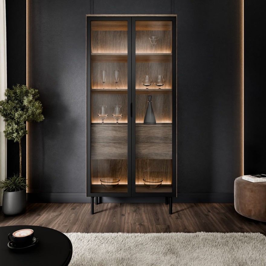 Vitrine LINEA LOFT mit LED-Beleuchtung