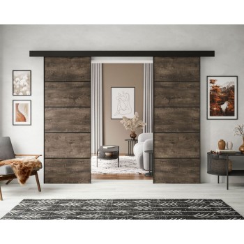 Schiebetür HINOKI PLUS DUO