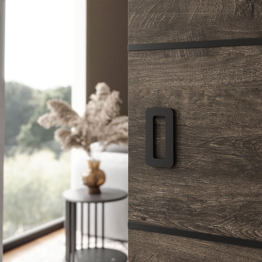 Schiebetür WAYATT PLUS mit Griff