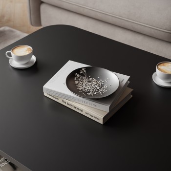 Couchtisch SHADOW II mit Ablage unter der Tischplatte