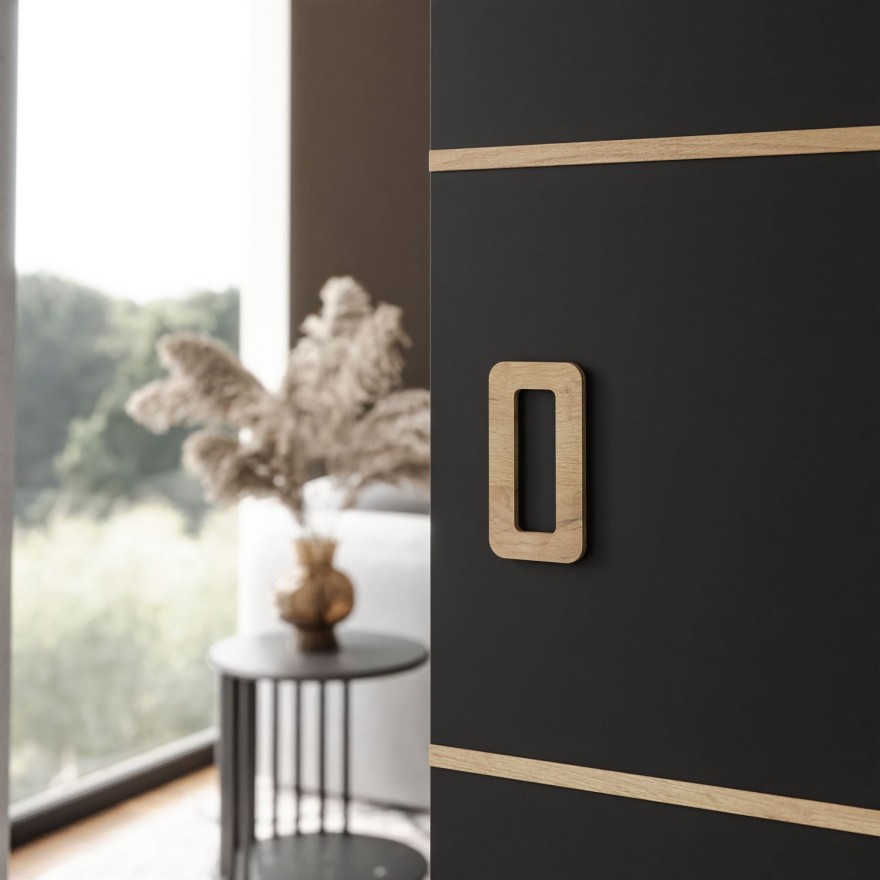 WAYATT PLUS DUO Schiebetür mit Griff