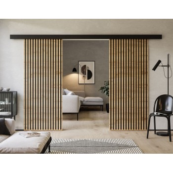 Schiebetür ERKADO DUO