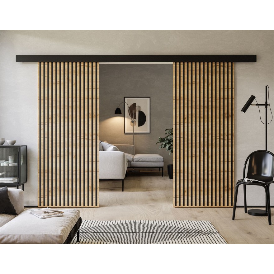 Schiebetür ERKADO DUO