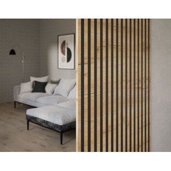 Schiebetür ERKADO DUO